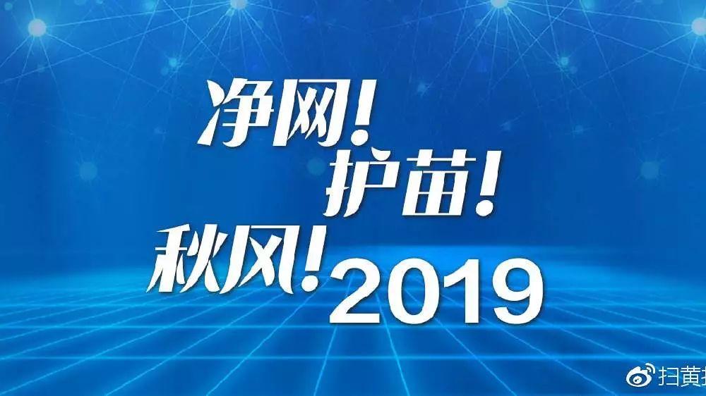 我市“護苗2019”專項行動成效顯著