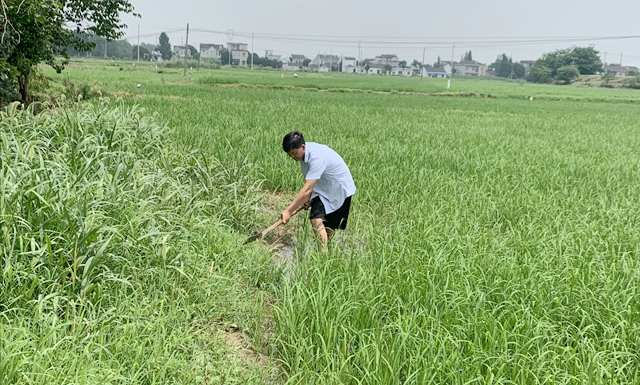 鄭蒲港新區(qū)：金融扶貧助力貧困戶脫貧奔小康