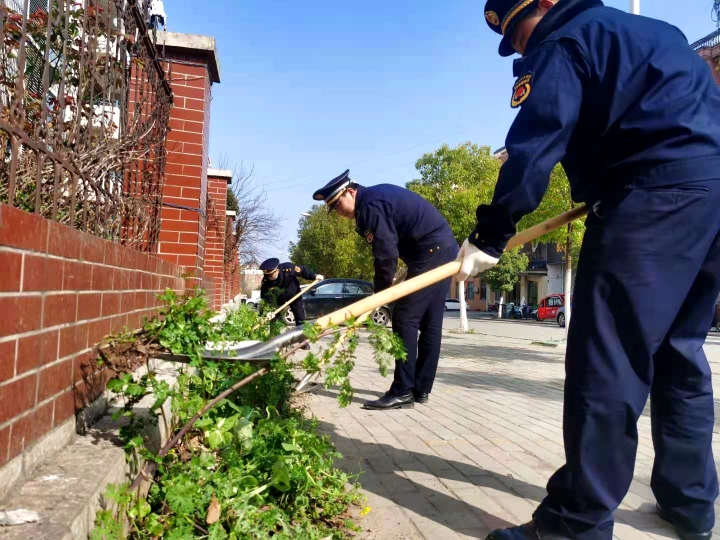 清理城區(qū)違規(guī)菜地 助力全域環(huán)境整治