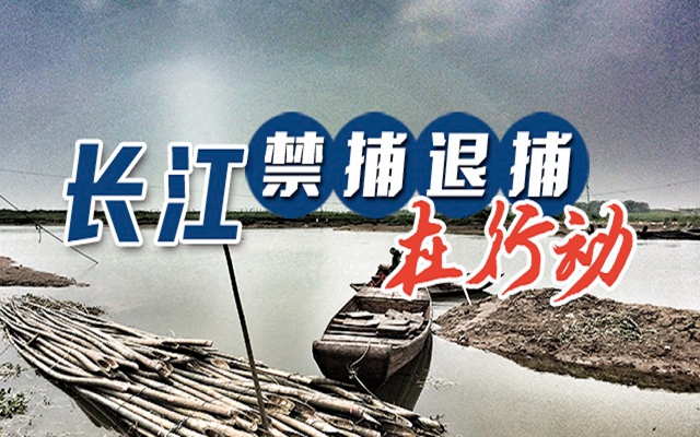 織密織牢“水上打、陸上管、市場(chǎng)查”執(zhí)法監(jiān)管網(wǎng)絡(luò)