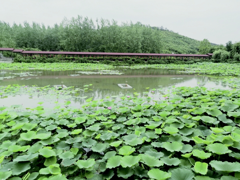 端午出游，文明成為最美風(fēng)景