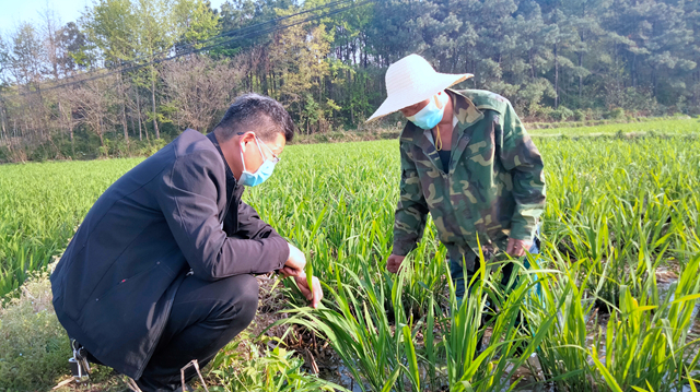 抓防疫 搶春種 博望區(qū)掀起春耕備耕熱潮